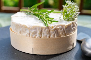 Fransız peynirleri koleksiyonu, Normandiya usulü beyaz küflü olgun Camembert inek sütü peyniri.