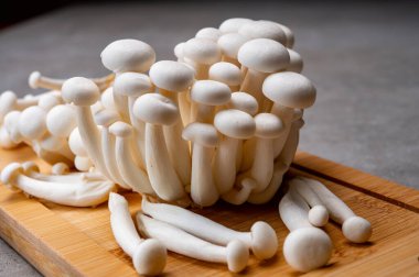 Fresh uncooked bunapi white shimeji edible mushrooms from Asia, rich in umami tasting compounds such as guanylic and glutamic acid clipart