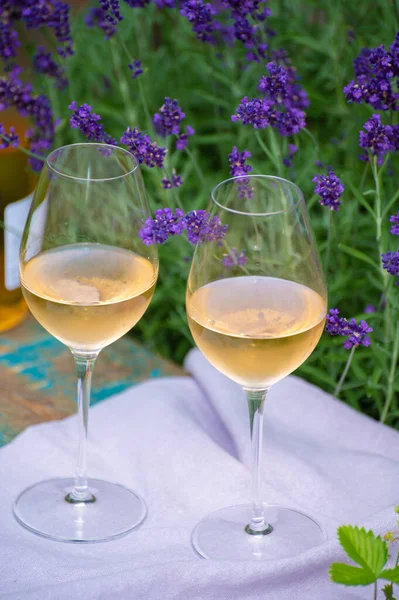 Szerelem Provence Romantikus Piknik Két Pohár Hideg Francia Rózsa Bor — Stock Fotó
