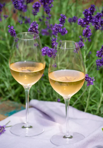 Amor Provence Piquenique Romântico Com Dois Copos Vinho Rosa Francês — Fotografia de Stock