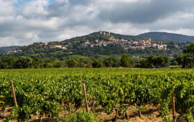 Fransa 'nın güneyinde, Grimaud, Provence bölgesi yakınlarındaki Cotes de Provence' deki üzüm bağlarında olgunlaşmış şarap üzümleri Fransa 'da gül şarabı üretiliyor.