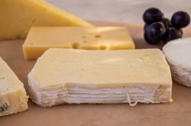 Mermer tahtada Fransız peyniri koleksiyonu, emmental, carre de aurillac, petit cantal AOP Jeune, buche chevre ve brie