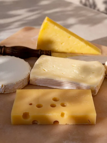 大理石板上的法国奶酪收藏品 装饰品 手风琴 叶柄直肠Aop Jeune Buche Chevre和Brie — 图库照片