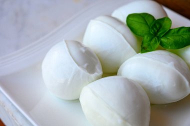 İtalyan bufalosundan yapılmış taze İtalyan peynirli mozzarella bufalosu fesleğenli makarna filata metodu.