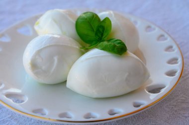 İtalyan bufalosundan yapılmış taze İtalyan peynirli mozzarella bufalosu fesleğenli makarna filata metodu.