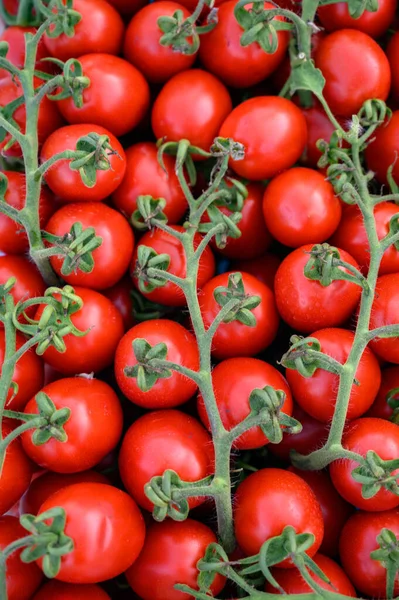 이탈리아 토마토가 시장에서 가까운 — 스톡 사진