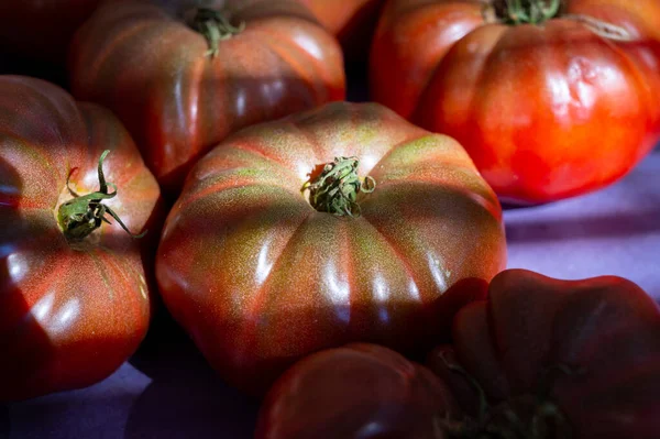 Sortimento Tomates Salada Franceses Nova Colheita Tomates Herança Grandes Mercado — Fotografia de Stock