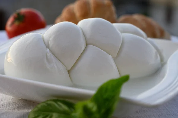 Fresh Soft White Italian Cheese Braid Mozzarella Buffalo Made Italian — Stock Photo, Image