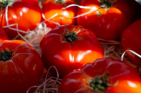 Збирання Картопляних Салатів Новий Урожай Великих Спадкових Помідорів Ринку Провансі — стокове фото