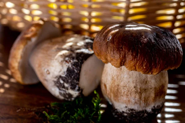 Koning Van Smakelijke Eetbare Paddenstoelen Boletus Edulis Porcini Cepe Klaar — Stockfoto