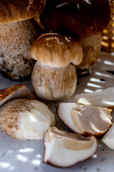 Rei Cogumelos Comestíveis Saborosos Boletus Edulis Porcini Cepe Pronto Para — Fotografia de Stock