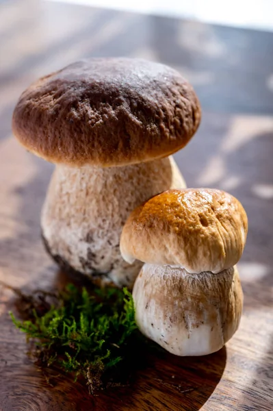 Gustosi Funghi Commestibili Boletus Edulis Porcini Cepe Pronti Cuocere Pasta — Foto Stock