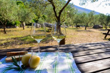 Summer picnic or outdoor lunch with tasting of white wine in olive tree groves in Lazio, Italy clipart