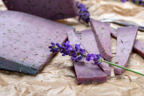 Colección Quesos Trozos Queso Duro Violeta Hechos Con Semillas Aromáticas — Foto de Stock