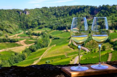 Fransa 'nın Jura bölgesindeki Chateau-Chalon köyü yakınlarındaki üzüm bağlarında beyaz veya jaune Jura şarabı tatmak