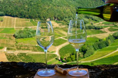 Fransa 'nın Jura bölgesindeki Chateau-Chalon köyü yakınlarındaki üzüm bağlarında beyaz veya jaune Jura şarabı tatmak