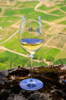 Fransa 'nın Jura bölgesindeki Chateau-Chalon köyü yakınlarındaki üzüm bağlarında beyaz veya jaune Jura şarabı tatmak
