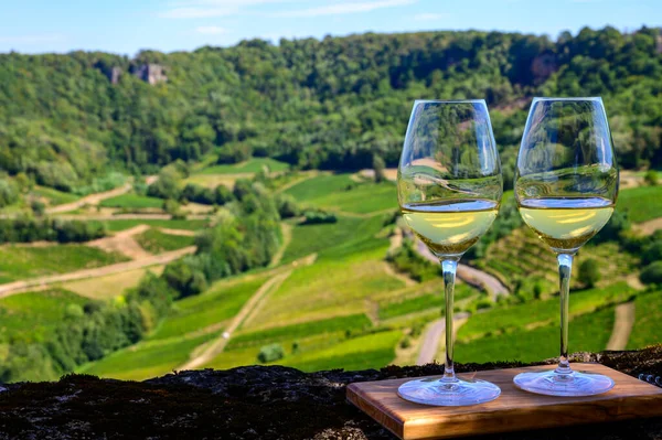 Prova Livre Vinho Jura Branco Jaune Vinhas Perto Aldeia Chateau — Fotografia de Stock