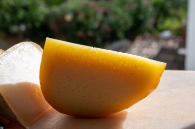 Peynir koleksiyonu, küçük delikli Fransız fol epi peyniri, etorki, tomme noire des pyrenees ve ossau iraty peynirleri