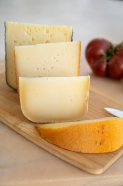 Peynir koleksiyonu, küçük delikli Fransız fol epi peyniri, etorki, tomme noire des pyrenees ve ossau iraty peynirleri