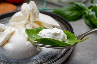 Puglia 'dan taze el yapımı İtalyan peyniri yemek, beyaz burrata topları veya mozzarella ve kremadan yapılmış burratina peyniri yemek.