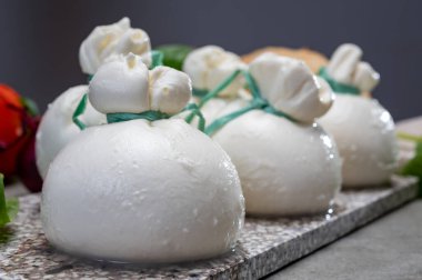 Peynir koleksiyonu, Puglia 'dan taze el yapımı İtalyan peyniri, beyaz burrata topları veya mozarella ve kremadan yapılmış burratina peyniri.