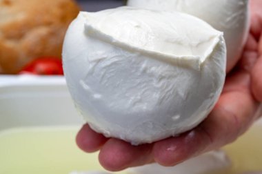 Peynir üreticisi elinde Campania 'dan taze yumuşak İtalyan peyniri, beyaz bufalo mozzarella peyniri topları konteynırdaki inek sütünden yapılmış, su da yakın.