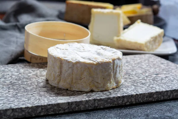 法国诺曼底地区用牛奶制成的诺曼底奶酪的法国软糖 — 图库照片