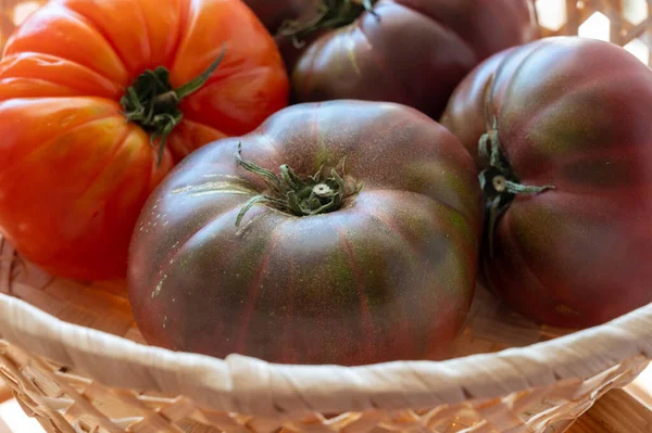 Nova Colheita Tomates Herança Rabanete Roxo Grandes Preto Crimeia Perto — Fotografia de Stock