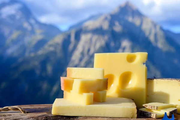 Sbírka Sýrů Francouzský Beaufort Abondance Emmental Tomme Savoie Sýry Podávané — Stock fotografie