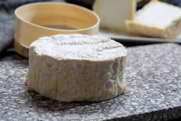 Coleção Queijos Camembert Macio Francês Queijo Normandia Feito Leite Vaca — Fotografia de Stock