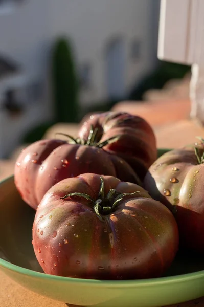 Nova Colheita Tomates Herança Rabanete Roxo Grandes Preto Crimeia Perto — Fotografia de Stock