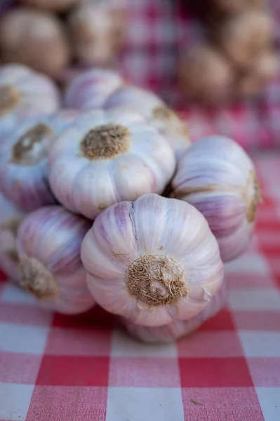 Bunch Fresh Aromatic French Violet Rose Garlic Market Provence — Stock Photo, Image