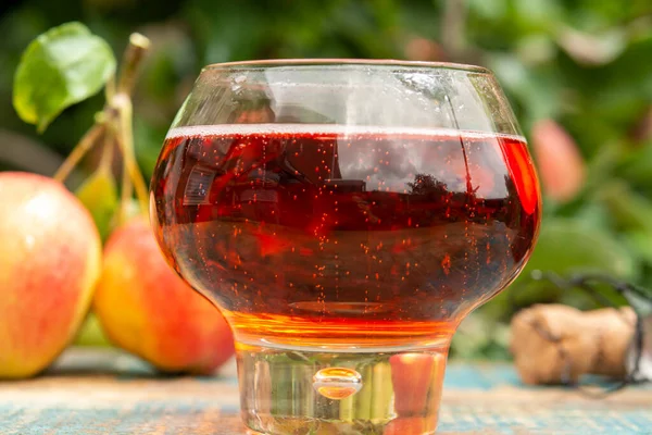 Glass of sweet rose apple cider from Normandy served in garden in France and green apple tree with ripe red fruits on background