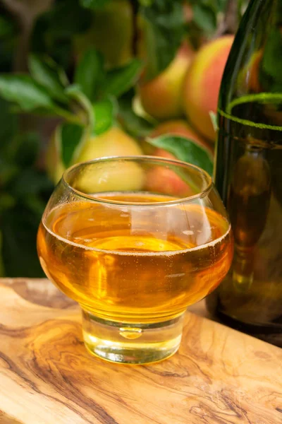 Glas Brut Äppelcider Från Normandie Serveras Trädgården Frankrike Och Grönt — Stockfoto