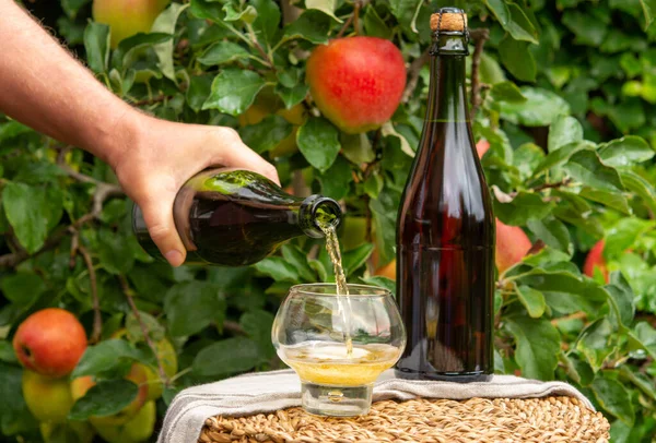 Vertido Sidra Manzana Brut Normandía Vidrio Francia Manzano Verde Con — Foto de Stock