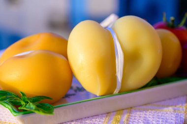 Peynir koleksiyonu, Güney İtalya 'da inek sütünden yapılan İtalyan peyniri scamorza İtalyan köyünde beyaz ve sarı füme servis ediliyor.