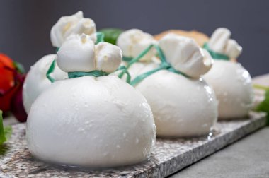 Peynir koleksiyonu, Puglia 'dan taze el yapımı İtalyan peyniri, beyaz burrata topları veya mozarella ve kremadan yapılmış burratina peyniri.