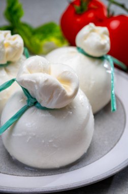 Peynir koleksiyonu, Puglia 'dan taze İtalyan peyniri, beyaz burrata topları veya mozzarella ve kremadan yapılmış burratina peyniri.