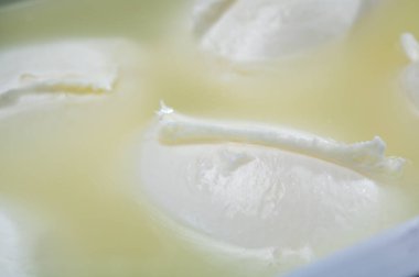 Peynir dükkanı, Campania 'dan taze el yapımı yumuşak İtalyan peyniri, kaptaki inek sütünden yapılmış beyaz bufalo mozzarella peyniri.