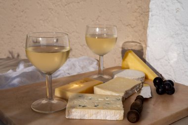 Fransa 'nın güneşli Provence şehrinde farklı Fransız peynirleriyle soğuk beyaz şarap tatmak ve eşleştirmek