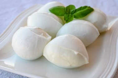 İtalyan bufalosundan yapılmış taze İtalyan peynirli mozzarella bufalosu fesleğenli makarna filata metodu.