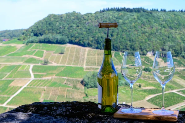 Prova Livre Vinho Jura Branco Jaune Vinhas Perto Aldeia Chateau — Fotografia de Stock