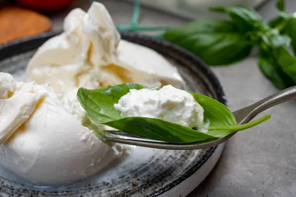 Essen Von Frischem Handgemachtem Italienischen Weichkäse Aus Apulien Weißen Burrata — Stockfoto