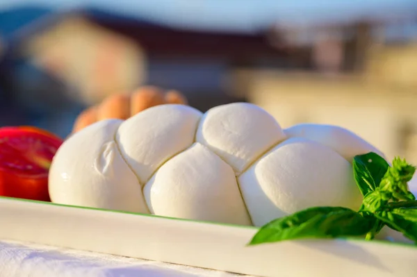 Świeże Miękkie Włoskie Plecionki Serowe Mozzarella Bawole Włoskiego Mleka Bawolego — Zdjęcie stockowe