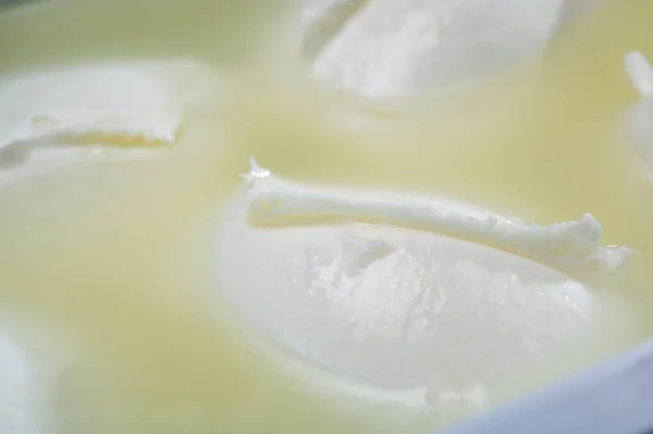 奶酪店 来自坎帕尼亚的新鲜手工制作的软意大利奶酪 用牛奶制成的水牛莫扎拉奶酪的白色小球 容器中的水闭合在一起 — 图库照片
