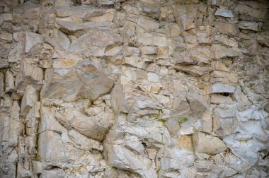 Marne Valley, Champange, Fransa 'daki Hautvillers köyündeki şampanya bağlarında tebeşir, marl ve kireç taşından oluşan tortulu beyaz kaya toprağı, doğa toprak seviyesi arka plan