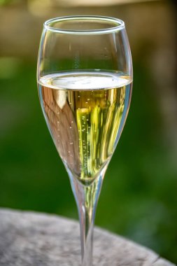 Yazın Fransa 'nın Cote des Bar bölgesindeki eski Fransız köyünde köpüklü köpüklü beyaz şarap içmek.