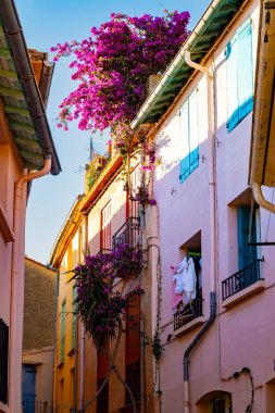 Renkli Collioure manzarası, dar sokaklar ve sarı, pembe, turuncu evler, yazlık tatil beldeleri tarihi buding ve plajlar, Pirenes-Orientales, Fransa yazın