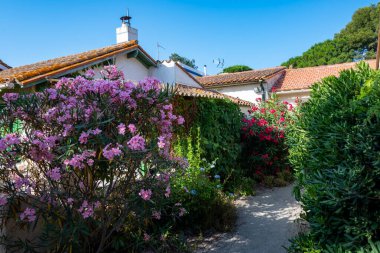 Le Racou hamleti Argeles-sur-Mer 'deki küçük yazlık evler, ya da Katalan' daki kuytu köşeler, Akdeniz kıyısındaki tipik yerler, kumlu yollar, Fransa 'nın Collioure kenti yakınlarındaki turistler.